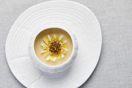 A cup of liquid with a flower in it Description automatically generated