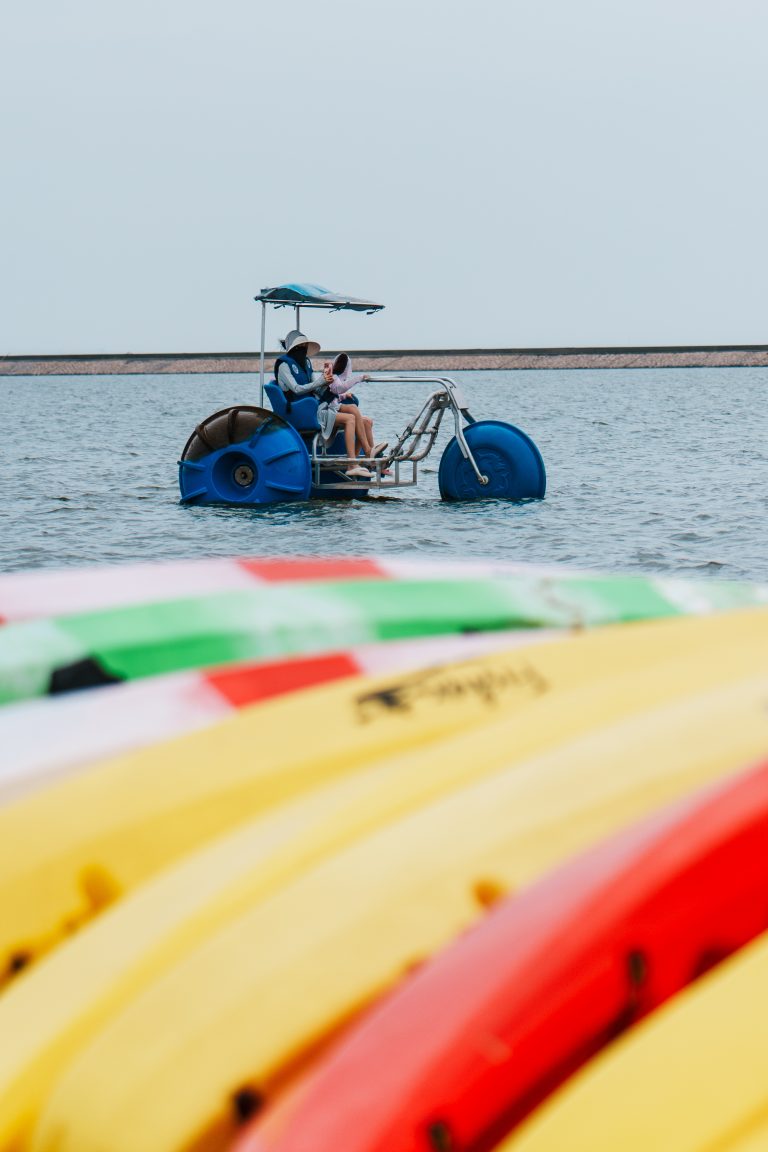 莲畔听风 浪尖逐夏